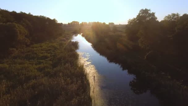 Luchtfoto. Vliegen over de prachtige rivier en mooie bos. — Stockvideo