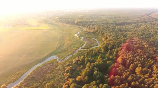 Vue Aérienne. Survoler la belle rivière et la belle forêt . — Video