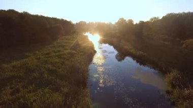 Havadan görünümü. Güzel nehir ve güzel orman üzerinde uçan.