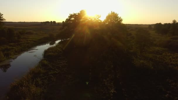 Légifelvételek. Repül át a gyönyörű folyó és a gyönyörű erdő. — Stock videók