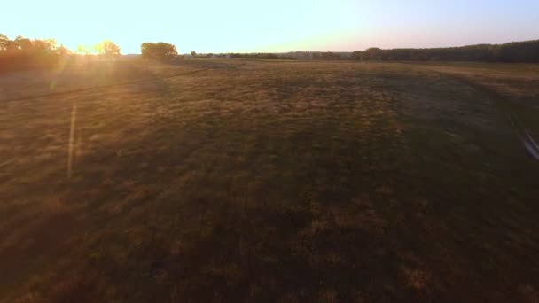 Aerial Flight over the road between fields. Autumn colors. — Stock Video