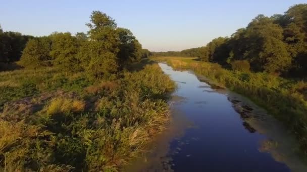 Vista aérea. Volando sobre el hermoso río y el hermoso bosque . — Vídeo de stock