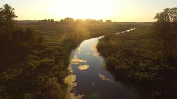 Vue Aérienne. Survoler la belle rivière et la belle forêt .