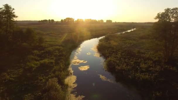 Luchtfoto. Vliegen over de prachtige rivier en mooie bos. — Stockvideo