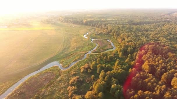 Vista aérea. Volando sobre el hermoso río y el hermoso bosque . — Vídeo de stock