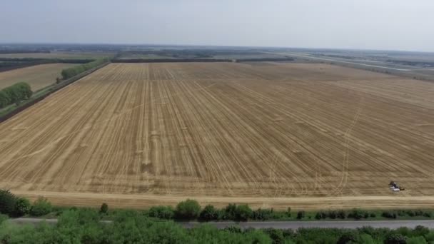 Letecký pohled na video záběry kombinuje sklizně, horní pohled — Stock video