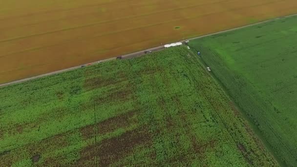 Vídeo Filmagem vista aérea combina colheita, vista superior — Vídeo de Stock