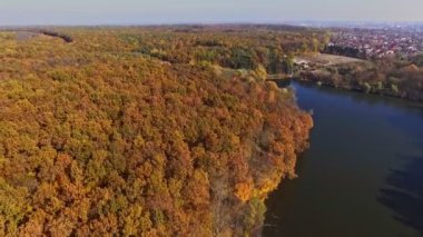 Sonbahar orman ve nehir için en baştan görüntüleyin