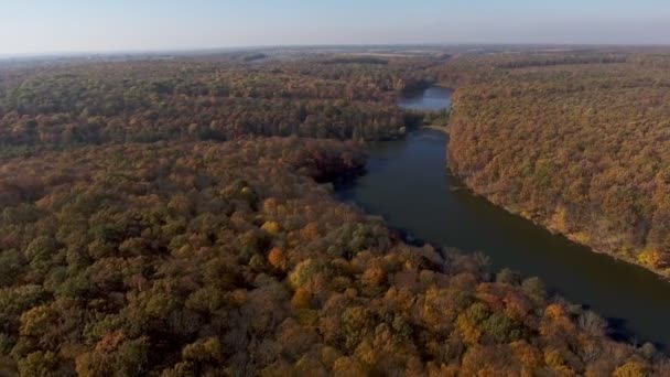Vista de cima para a floresta de outono e o rio — Vídeo de Stock