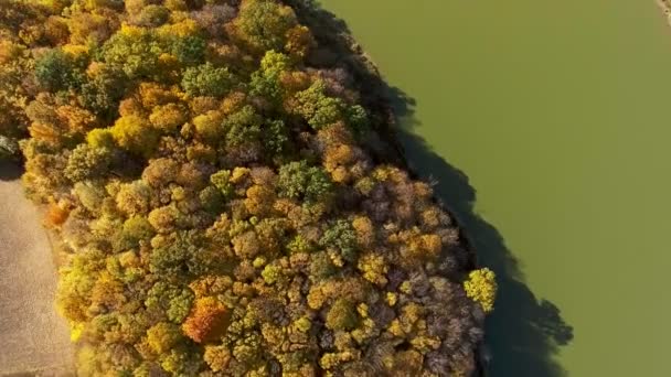 Θέα από την κορυφή προς το φθινόπωρο δάσος και το ποτάμι — Αρχείο Βίντεο