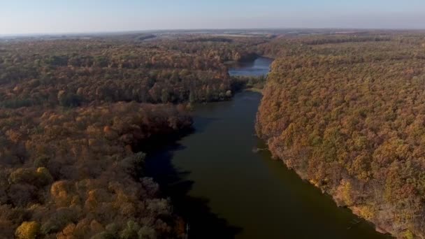 Θέα από την κορυφή προς το φθινόπωρο δάσος και το ποτάμι — Αρχείο Βίντεο