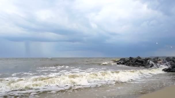 Strand zonnige dag leeg blauw zomer hemel zeewater — Stockvideo