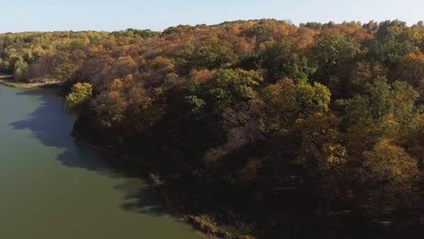 青い空、秋の森に湖の背景 — ストック動画