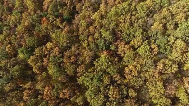 Вид сверху на осенний лес и реку — стоковое видео