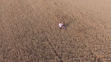 Mutlu çift buğday alanı yürüyüş