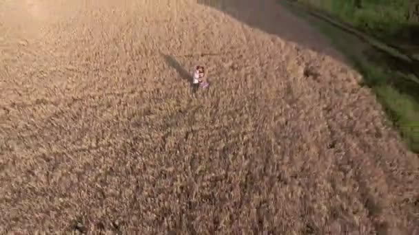 Pareja joven de pie y besándose en el campo de trigo — Vídeo de stock