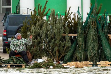 Yılbaşı için Noel ağacı ve çam ağacı satışı. Kışın ağaç pazarı.