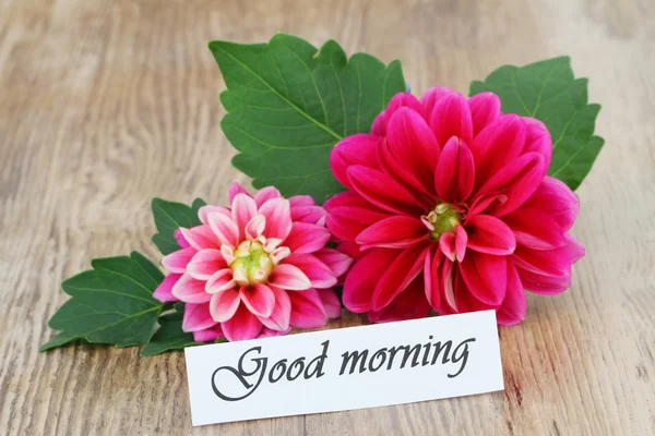 God morgon kort med rosa dahlia — Stockfoto