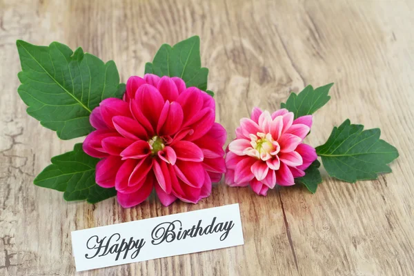 Cartão de aniversário feliz com dahlia rosa — Fotografia de Stock