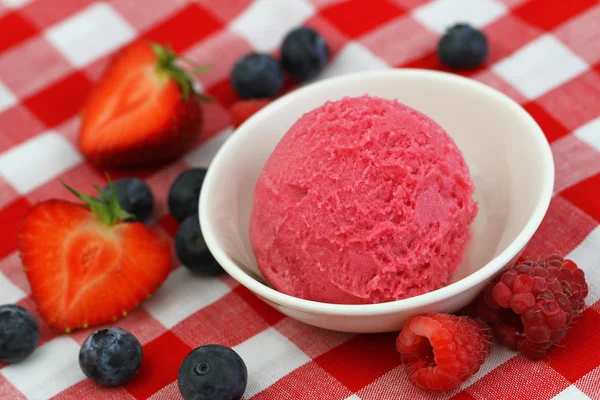 草莓和森林水果冰糕 — 图库照片