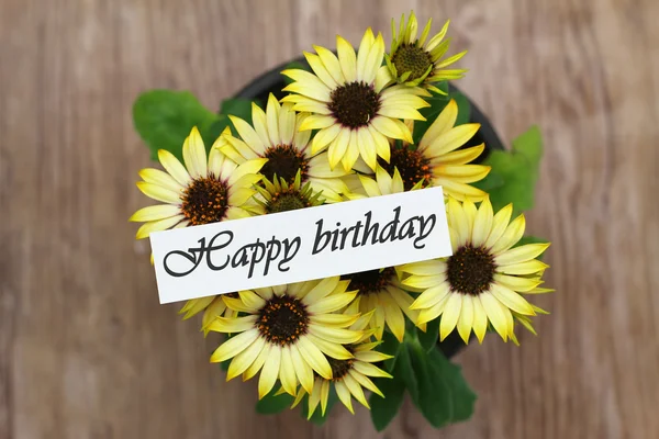 Carte d'anniversaire avec marguerites jaunes — Photo