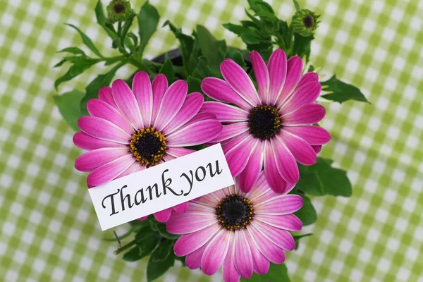 Dankeskarte mit rosa Gerbera-Gänseblümchen — Stockfoto