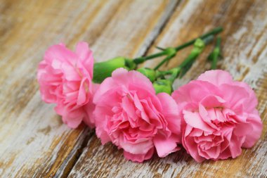 Rustik ahşap yüzey üzerinde pembe karanfil çiçek