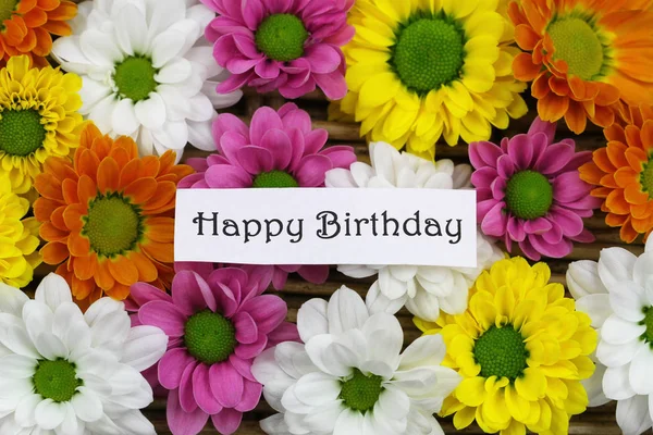 Happy Birthday card with colorful Santini flowers — Stock Photo, Image