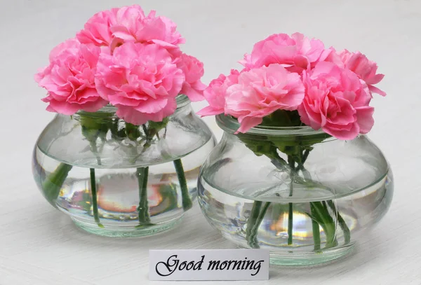 Tarjeta de buenos días con flores de clavel rosa —  Fotos de Stock