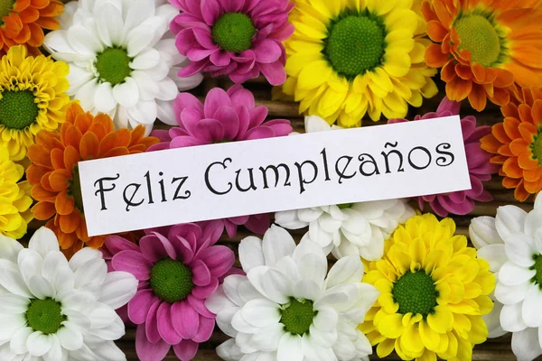 Feliz cumpleanos (qui signifie joyeux anniversaire en espagnol) carte avec des fleurs colorées Santini — Photo