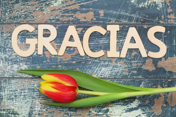 (Yani teşekkür ederim İspanyolca) Gracias ahşap harfler ve Lale ile yazılı