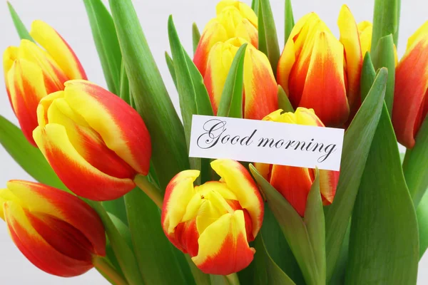 Carte de bonjour avec tulipes rouges et jaunes — Photo