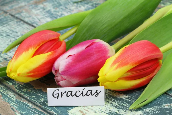 Gracias (which means thank you in Spanish) with colorful tulips