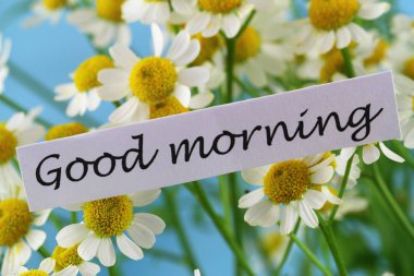 Günaydın papatya çiçeği ile kartı