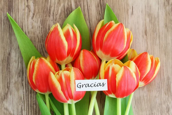 Gracias (obrigado em espanhol) cartão com tulipas vermelhas e amarelas — Fotografia de Stock