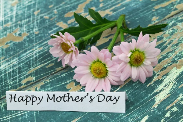 Happy Blahopřání ke dni matek s květy růžové sedmikráska na rustikální povrch — Stock fotografie