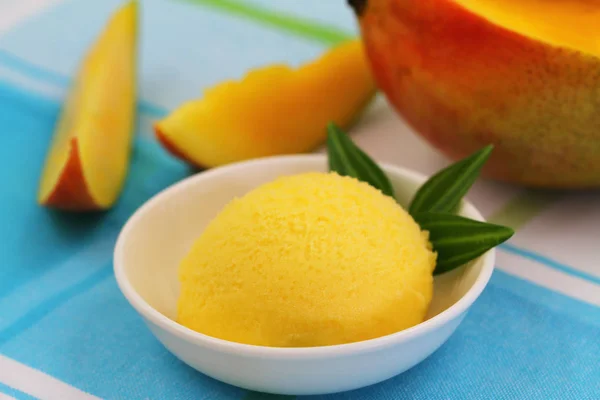 Mango-Sorbet in weißer Schüssel — Stockfoto