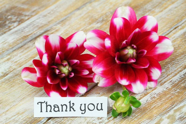 Thank you card with dahlia flowers on wooden surface — Stock Photo, Image