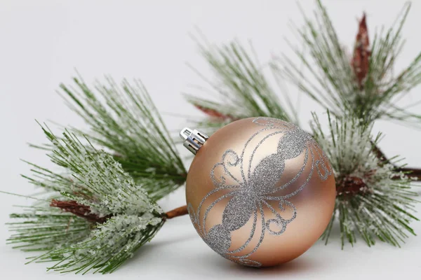 Krem i srebrny kolor Christmas cacko i sosna — Zdjęcie stockowe