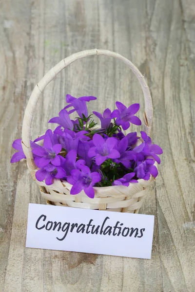 Carte Félicitations Avec Panier Fleurs Campanula — Photo