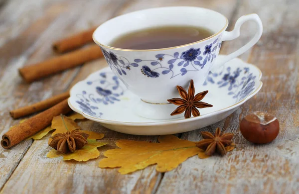 Taza Anís Estrellado Canela Hojas Otoño Castañas — Foto de Stock