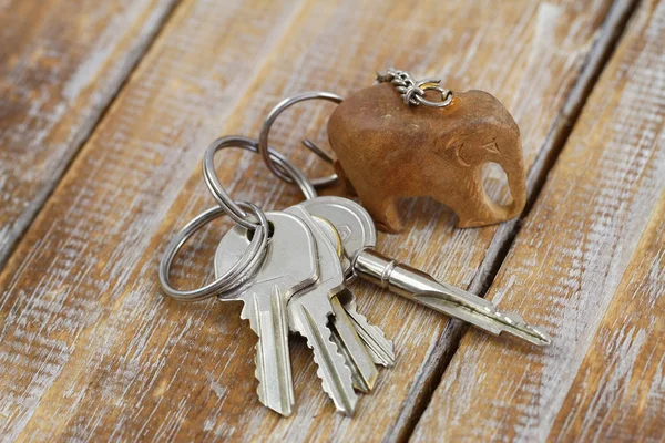 Stelletje Toetsen Ketting Met Kleine Houten Olifant Stockafbeelding