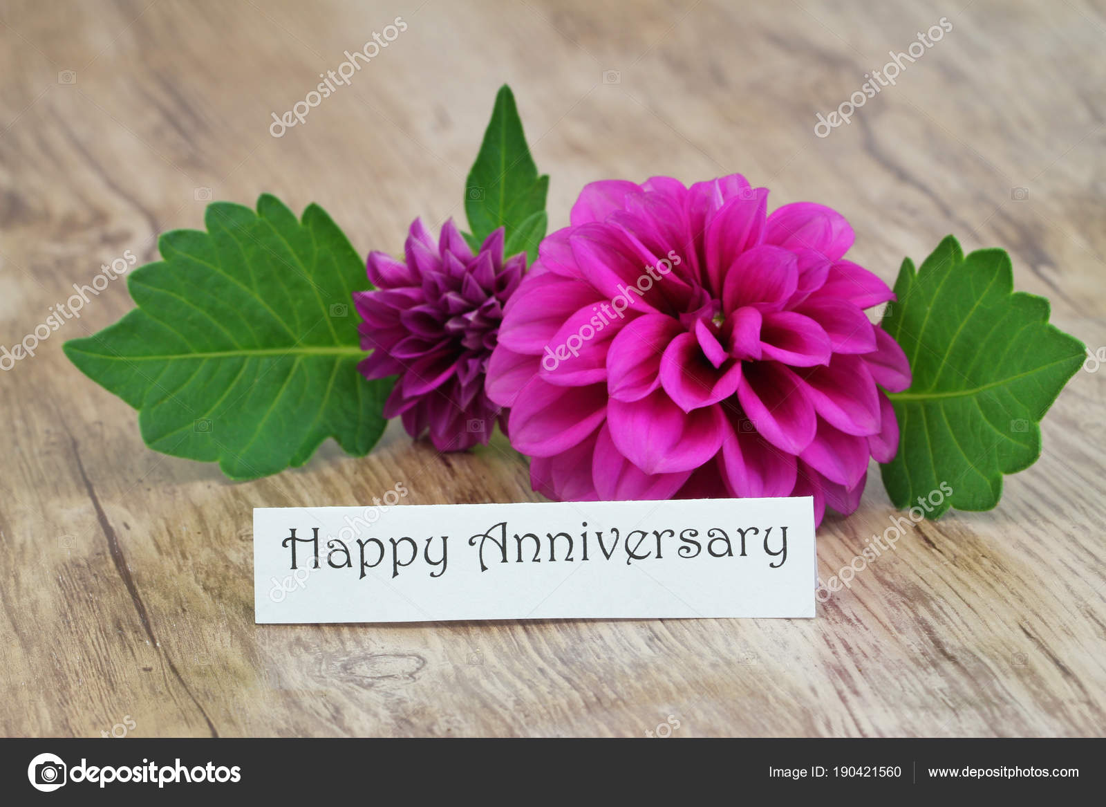 Joyeux Anniversaire Carte Avec Fleur Dahlia Pourpre Photographie Graletta C Joyeux Anniversaire Carte Avec Fleur Dahlia Pourpre Photographie Graletta C
