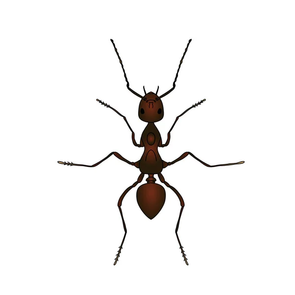 Formica exsecta. Skiss av ant. Myra isolerad på vit bakgrund. Myra Design för målarbok. — Stock vektor