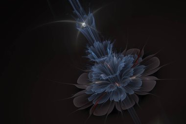 Soyut resim. Bir inci siyah bir arka plan ile yeni gelişen bir karanlık çiçek