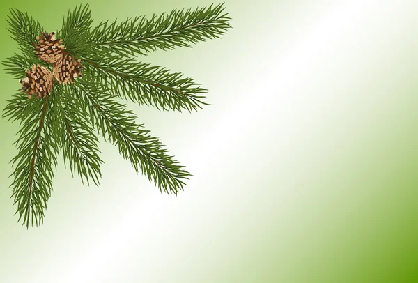 Groene takje met bruin fir kegels op een lichte achtergrond — Stockvector