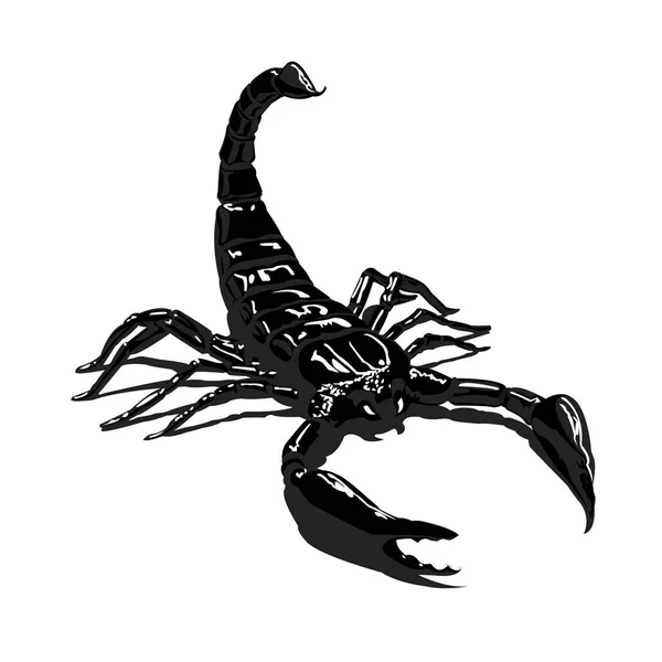 Scorpion noir sur fond blanc isolé brillant — Image vectorielle