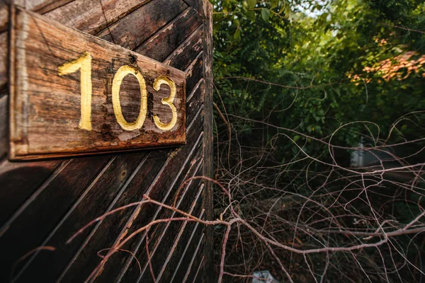 Entrada de puerta vieja — Foto de Stock