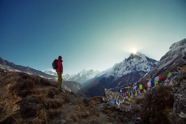 Toeristische Man Zonsopgang Waakt Heilige Berg Machapuchare Van Annapurna Base — Stockfoto