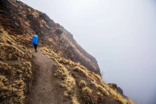 Jonge Reiziger Vrouw Dragen Rugzak Bedekt Regenjas Wandelen Mist Berg — Stockfoto